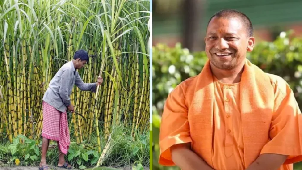 किसानों की बल्ले-बल्ले, सीएम योगी आदित्यनाथ ने खोला खजाना