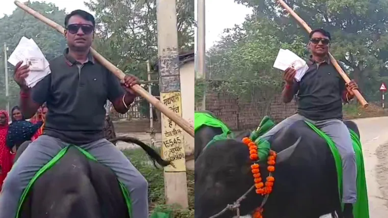 Bihar Chunav 2025 Voting