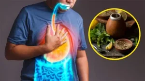 Acidity Relief Ayurveda: एसिडिटी और पेट जलन के आयुर्वेदिक घरेलू उपाय