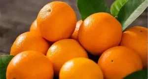 Winter Immunity: संतरा, विटामिन C सुपरफूड