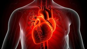 Prevent Heart Attack: भारत में बढ़ते हार्ट अटैक मामलों और बचाव के उपाय