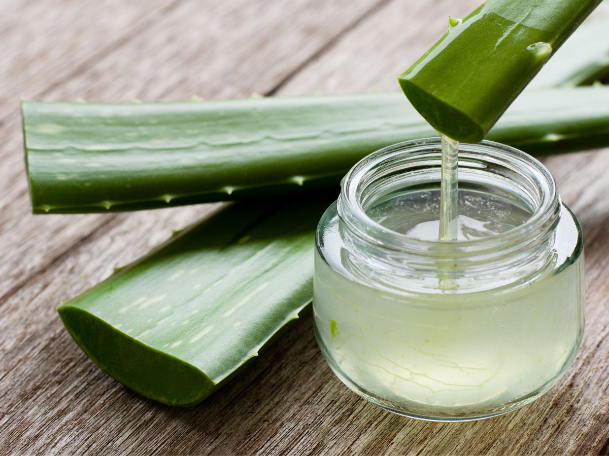 Aloe Vera Skin Care Tips