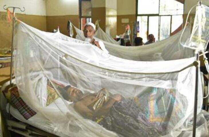 Dengue Cases in Bangladesh 2025: