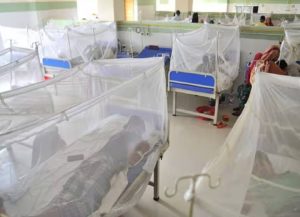 Dengue Cases in Bangladesh 2025: