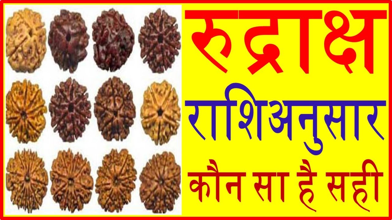 Rudraksha for Each Zodiac Sign