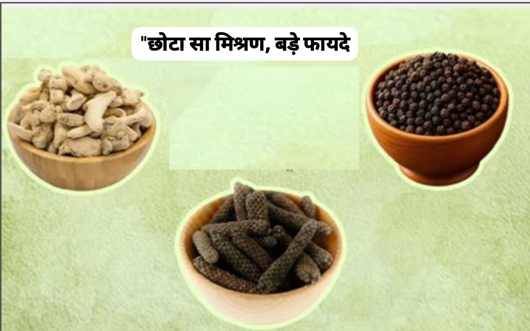 त्रिकटु: आयुर्वेद का चमत्कारी सूत्र | Trikatu Ayurvedic Benefits