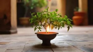 Tulsi Deepak Benefits: तुलसी पर दीपक जलाने के फायदे और पूजा विधि