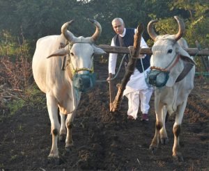 Governor Acharya Devvrat: खेतों में हल, हाथ में झाड़ू राज्यपाल के गाँव दौरे ने सबको चौंका दिया