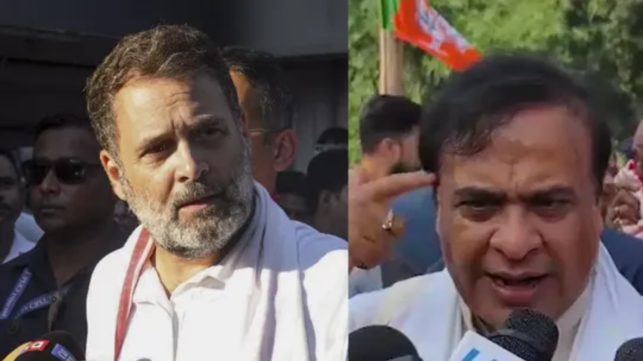 राहुल गांधी पागल है