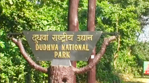 लखनऊ–दुधवा की यात्रा 