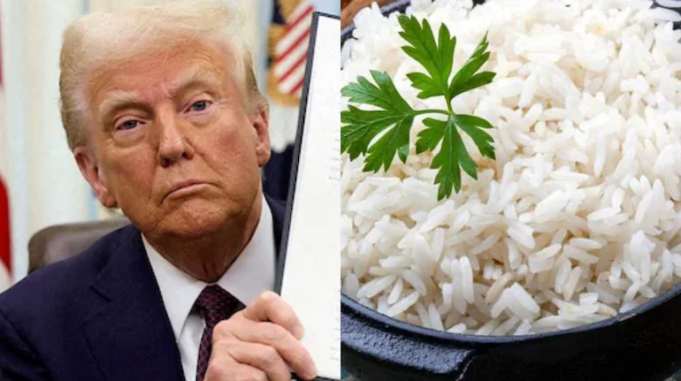 trump tariffs rice