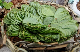 paan chabane ke labh: