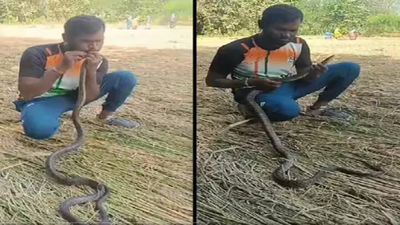 युवक ने CPR देकर बचाई सांप की जान