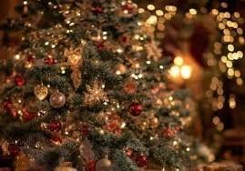 Christmas Wishes: राष्ट्रपति द्रौपदी मुर्मू ने दी हार्दिक क्रिसमस बधाई