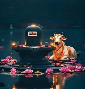 Putrada Ekadashi: पौष पुत्रदा एकादशी पर शिवलिंग में चढ़ाएं ये चीजें