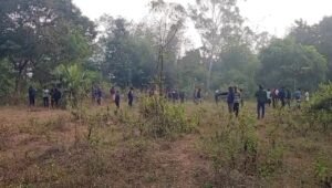 Elephant Attack: जंगलमहल में हाथियों का हमला