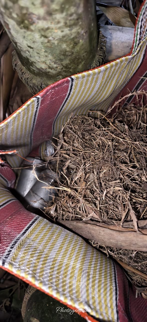 रानीतला में तालाब के पास से 30 बम बरामद