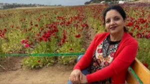 Indian Woman ICE Arrest: ग्रीन कार्ड इंटरव्यू बना गिरफ्तारी का कारण