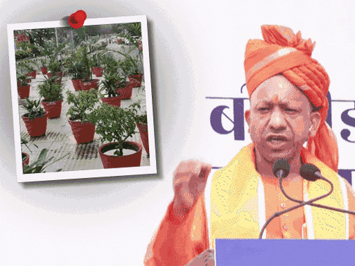 प्रेरणा स्थल से गमले चोरी, FIR की तैयारी