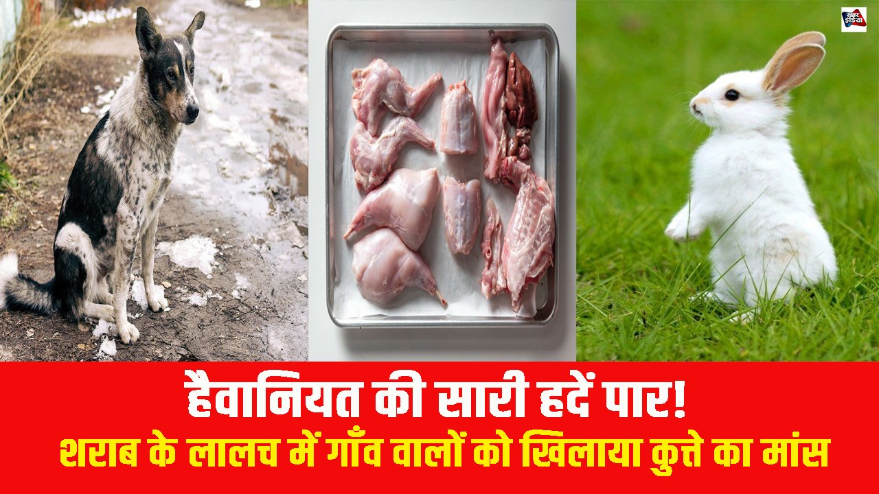 Motihari News: हैवानियत की सारी हदें पार! शराब के लालच में गाँव वालों को खिलाया कुत्ते का मांस