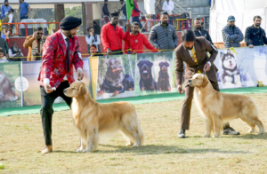 Jamshedpur Dog Show: जमशेदपुर डॉग शो 2026