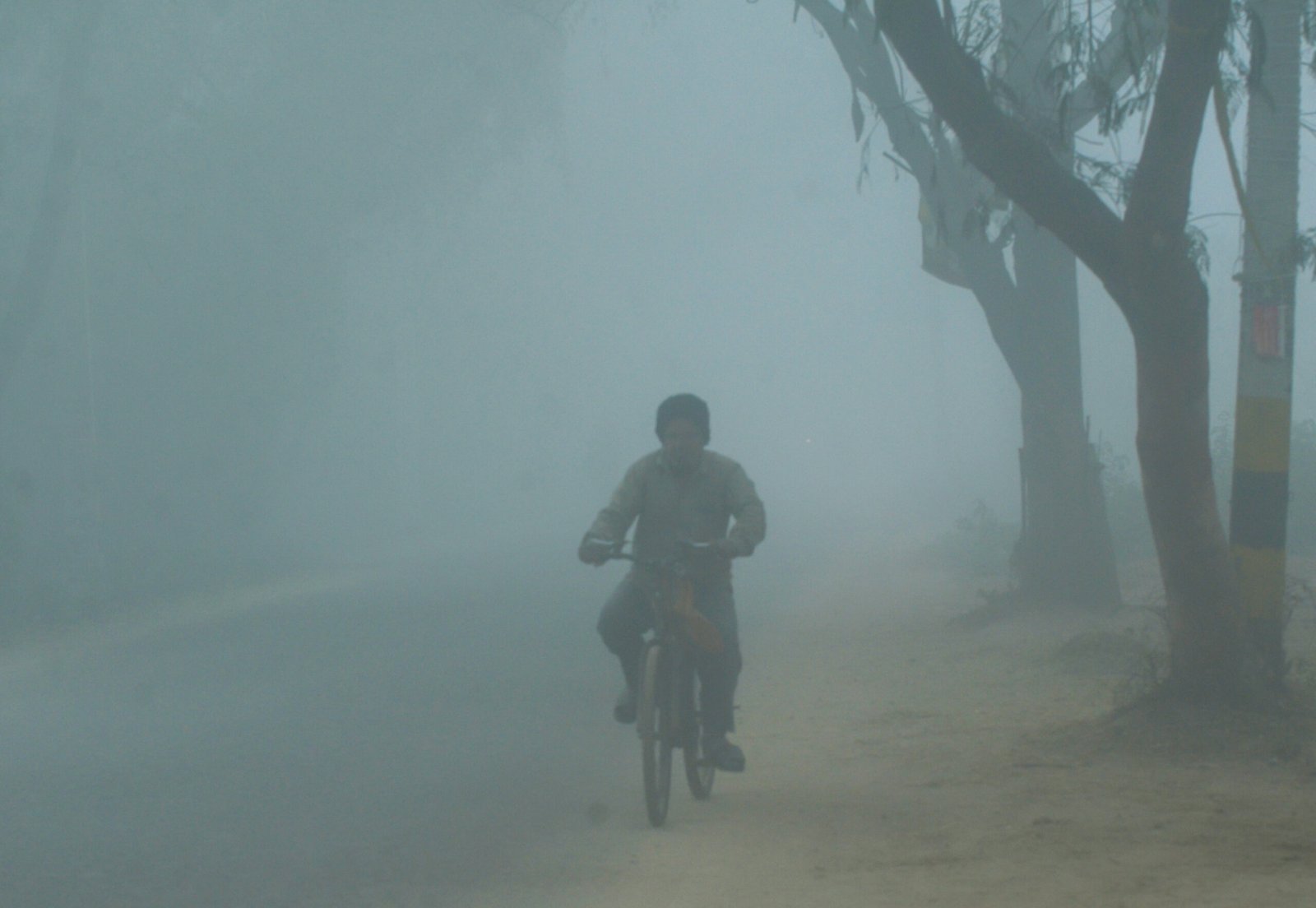 Bihar Cold Day: