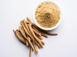 Mushli Benefits: सदियों से आयुर्वेद में प्राकृतिक इलाज