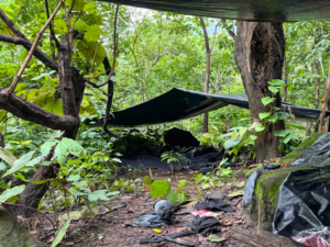 IED Blast Incident: जंगल में IED धमाका