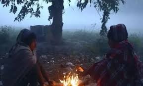 कड़ाके की ठंड और घना कोहरा