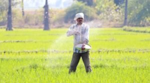 Fertilizer Budget 2026: बजट 2026 उर्वरक सुधार