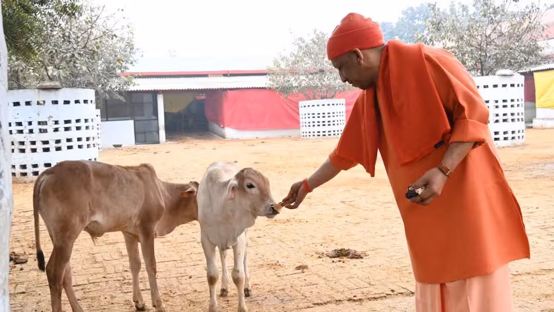 सीएम योगी की ख़ास दिनचर्या: मंदिर, गोशाला और बच्चों से जुड़ा अपनापन
