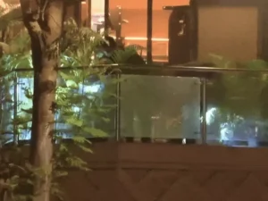 Rohit Shetty Firing Case: सेलिब्रिटी सुरक्षा पर सवाल