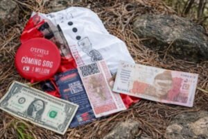 Akhnoor Balloon Case: