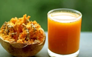 गर्मी में बेल बने शरीर की प्राकृतिक ढाल