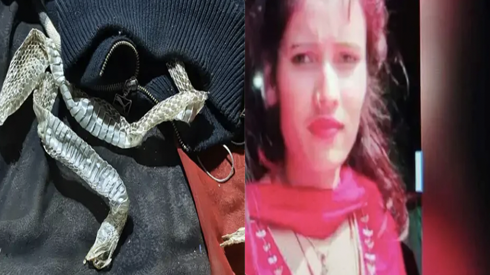 Auraiya News: शादी से बचने के लिए युवती का 'नागिन ड्रामा', बिस्तर पर केंचुल छोड़ प्रेमी संग हुई फरार!