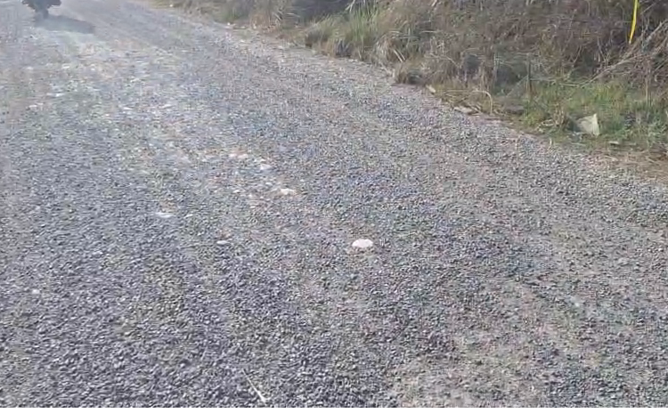 गड्ढा मुक्त सड़क