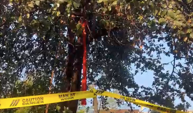 जहानाबाद के काको में पेड़ से फंदे पर लटका मिला किशोर का शव