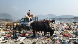 जयगांव में तोरसा नदी का संकट