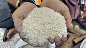 योजनाओं में अस्थायी रोक