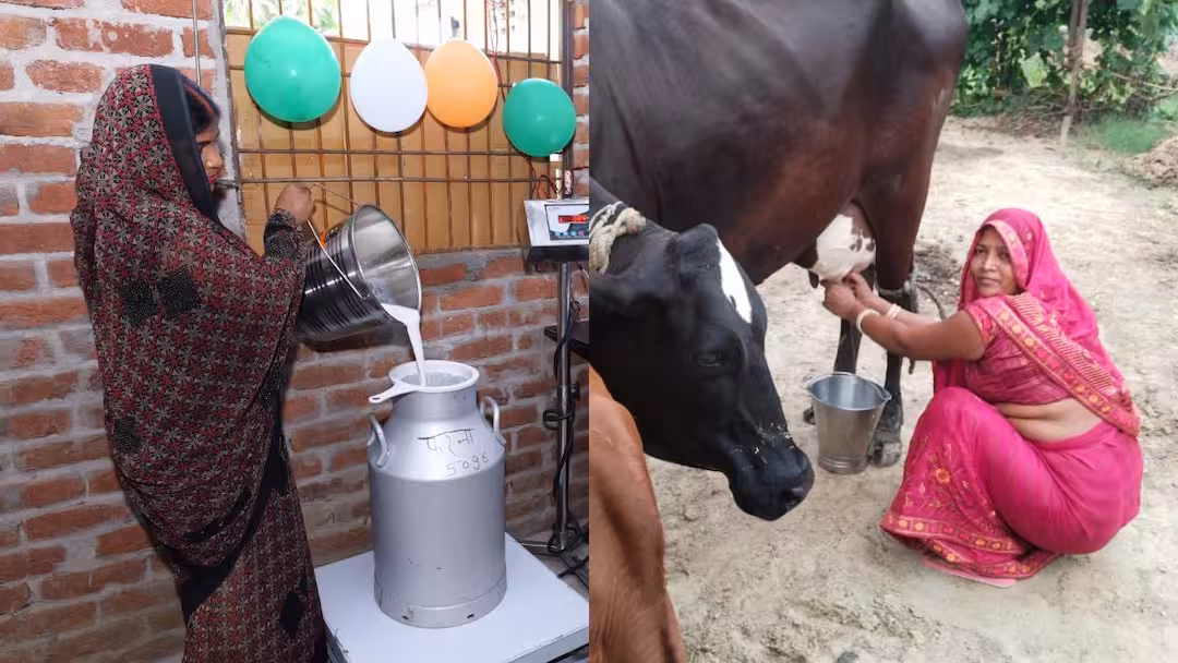 कैसे योगी आदित्यनाथ के मार्गदर्शन से 47 हज़ार घरेलू महिलाएं आत्मनिर्भर बन हुईं लखपति ?