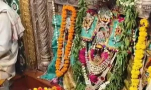 Sheetala Saptami Panchang: 10 मार्च शीतला सप्तमी पंचांग विवरण