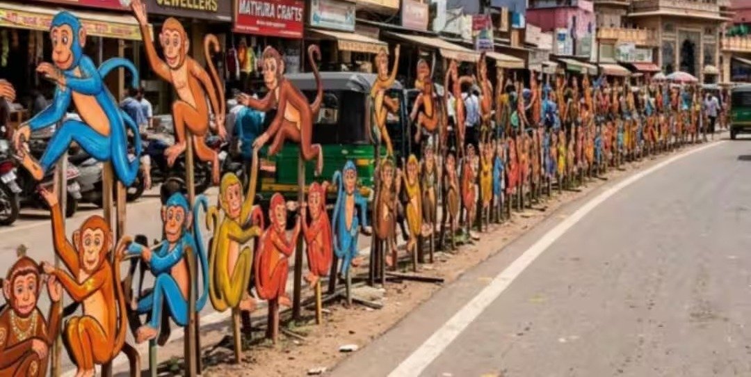 वृंदावन फिर आया सुर्खियों में! राष्ट्रपति के दौरे से पहले चश्मा चोर बंदरों का खौफ, लगे अनोखे कटआउट