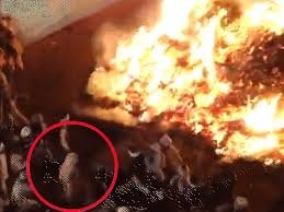 Phalain Village Holi Rituals: फालैन गांव की अनोखी होली परंपरा