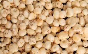 मखाना: व्रत का हल्का और सात्विक आहार