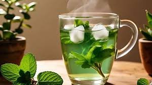 गर्मियों में पुदीना के फायदे