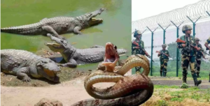 AMIT SAHA VIRAL NEWS