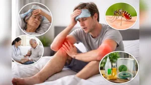 Chikungunya Symptoms: चिकनगुनिया के लक्षण और बचाव के आसान उपाय