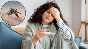 चिकनगुनिया के लक्षण और बचाव के आसान उपाय