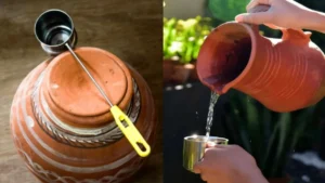 Clay Pot Water Benefits: मिट्टी का पानी सेहत और ठंडक