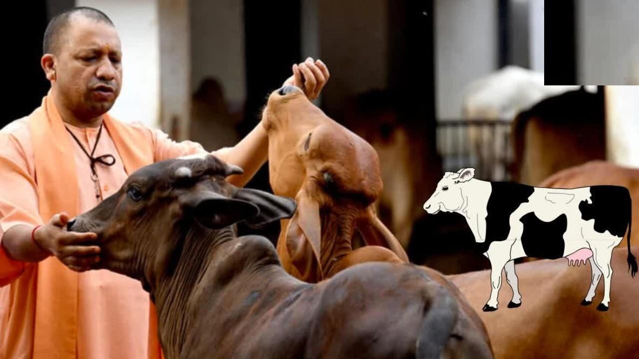 दूध उत्पादन में यूपी ने मारी बाजी